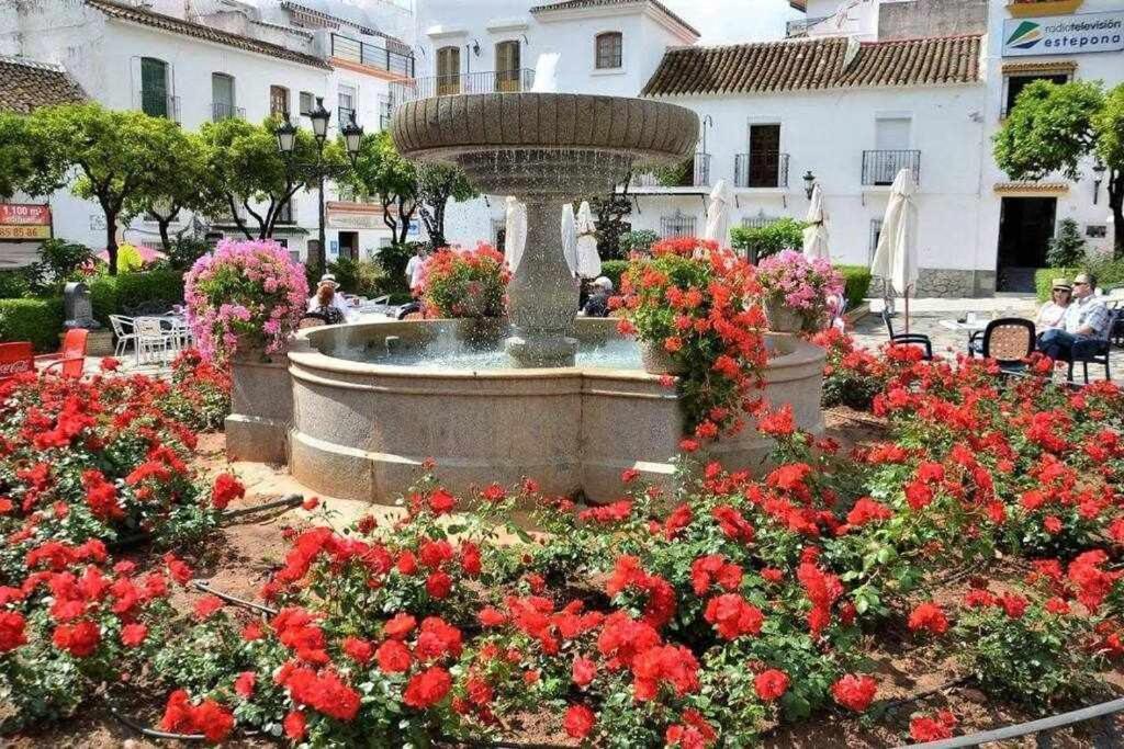 XV Apartamentos Morales & Arnal Εστεπόνα Εξωτερικό φωτογραφία